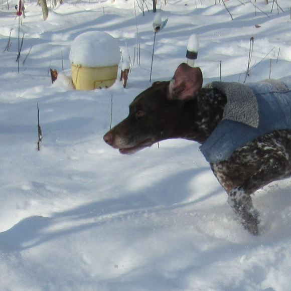 Meet the Posher Other - Meet your Posher, Brenda